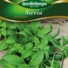 Stevia Süßkraut | Steviasamen Von Quedlinburger 2 Stevia Süßkraut | Steviasamen Von Quedlinburger -Compo Verkäufe 532042 Stevia Suesskraut von Quedlinburger Saatgut