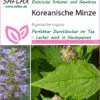 Koreanische Minze | Minzesamen Von Saflax -Compo Verkäufe 535679 Koreanische Minze 17506 sa 0