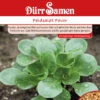 Feldsalat Favor | Feldsalatsamen Von Dürr Samen -Compo Verkäufe 2510 Feldsalat Favor 1264 ds 0