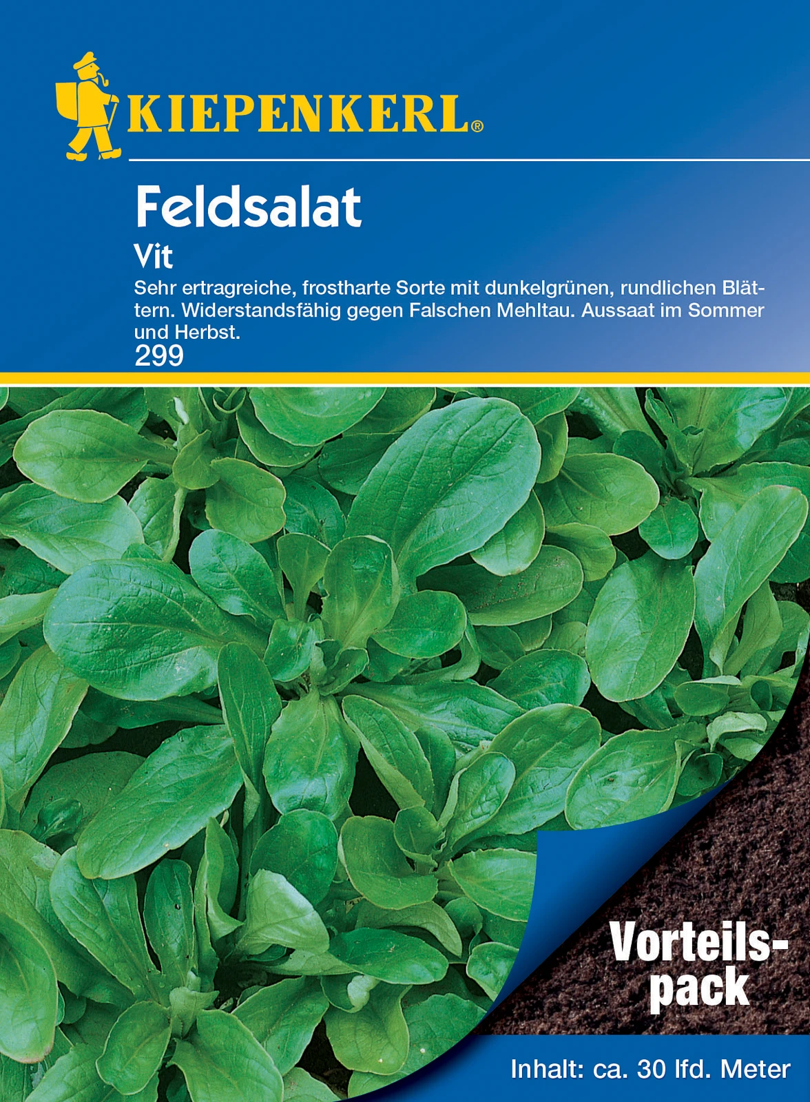 Feldsalat Rapunzel Vit (20 G) | Feldsalatsamen Von Kiepenkerl 3 Feldsalat Rapunzel Vit (20 G) | Feldsalatsamen Von Kiepenkerl