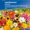 Landblumenmischung Mischung Vieler Arten | Blumensamenmischung Von Kiepenkerl 2 Landblumenmischung Mischung Vieler Arten | Blumensamenmischung Von Kiepenkerl -Compo Verkäufe 2915 Landblumenmischung Mischung vieler Arten 4001 0