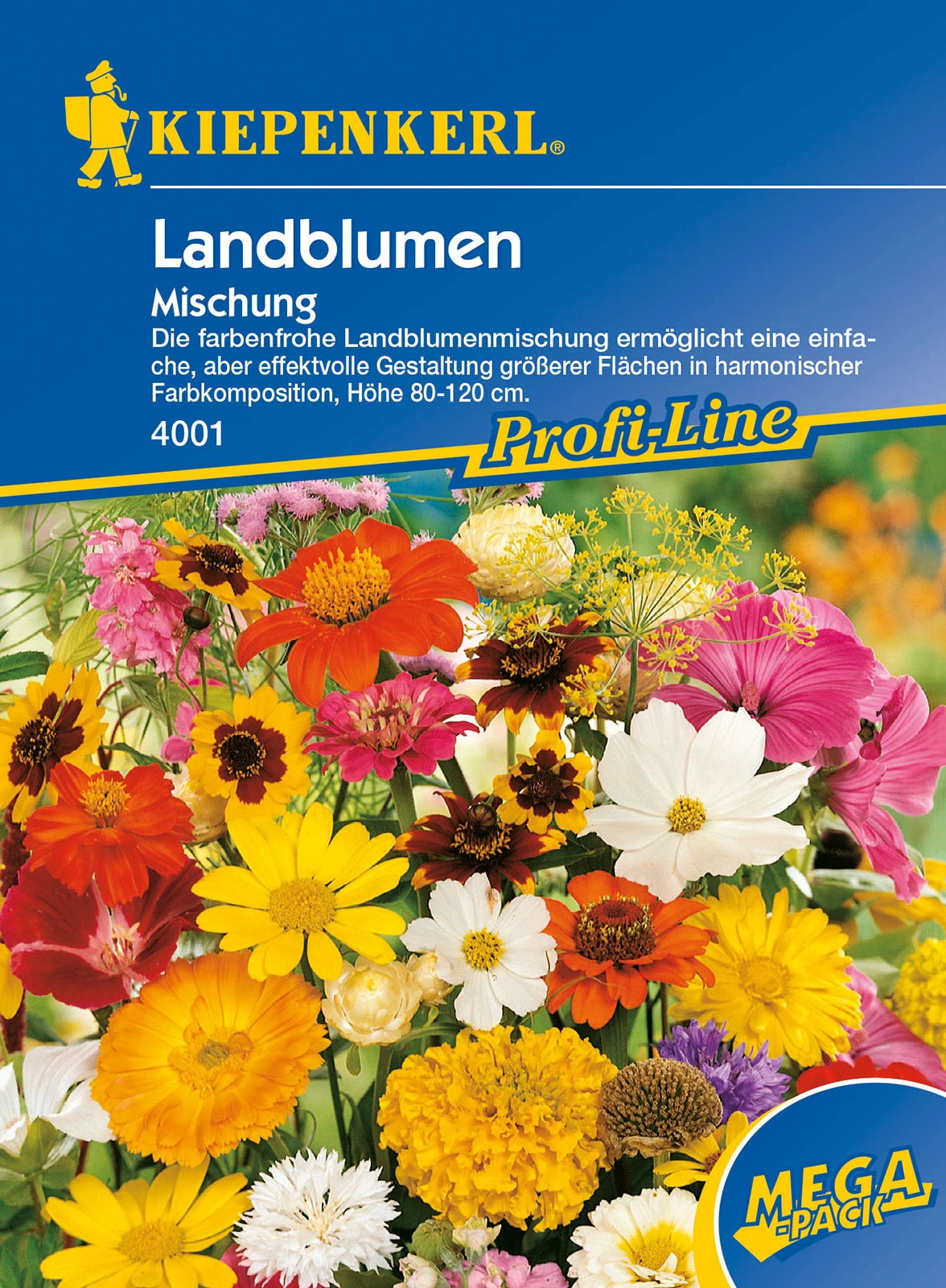 Landblumenmischung Mischung Vieler Arten | Blumensamenmischung Von Kiepenkerl 3 Landblumenmischung Mischung Vieler Arten | Blumensamenmischung Von Kiepenkerl