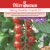Kirschtomate Tropical F1 | Kirschtomatensamen Von Dürr Samen 1 Kirschtomate Tropical F1 | Kirschtomatensamen Von Dürr Samen -Compo Verkäufe 523280 Kirschtomate Tropical F1 4146 ds 0