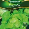 Kopfsalat Dynamite | Kopfsalatsamen Von Quedlinburger