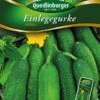 Einlegegurke Hokus | Einlegegurkensamen Von Quedlinburger -Compo Verkäufe 531942 Einlegegurken Hokus von Quedlinburger Saatg