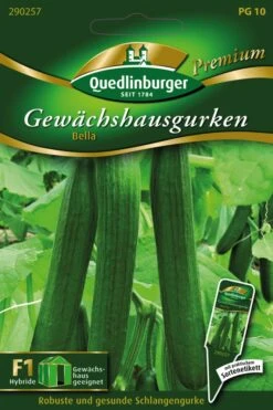 Gewächshausgurke Bella | Gurkensamen Von Quedlinburger