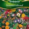 Sommerabend Mischung | Sonnenblumensamen Von Quedlinburger 1 Sommerabend Mischung | Sonnenblumensamen Von Quedlinburger -Compo Verkäufe 532169 Sommerabend Mischung von Quedlinburger Saat