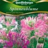 Spinnenblume Wasserspiel Mischung | Spinnenblumensamen Von Quedlinburger -Compo Verkäufe 532181 Spinnenblume Wasserspiel Mischung von Quedl