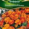 Studentenblumen Bonanza Bolero | Studentenblumensamen Von Quedlinburger 1 Studentenblumen Bonanza Bolero | Studentenblumensamen Von Quedlinburger -Compo Verkäufe 532193 Studentenblumen Bonanza Bolero von Quedlinb