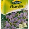 Phacelia 300 G | Phaceliasamen Von Quedlinburger 1 Phacelia 300 G | Phaceliasamen Von Quedlinburger -Compo Verkäufe 532622 Phacelia 300 g