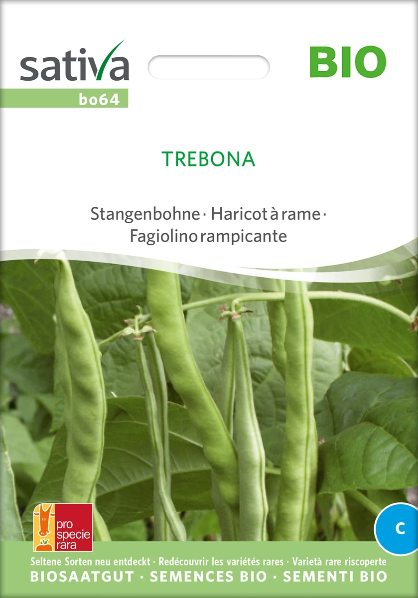 Stangenbohne Trebona | BIO Stangenbohnensamen Von Sativa Rheinau 4 Stangenbohne Trebona | BIO Stangenbohnensamen Von Sativa Rheinau – Bild 2