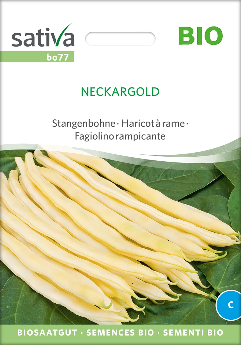 Stangenbohne Neckargold | BIO Stangenbohnensamen Von Sativa Rheinau 4 Stangenbohne Neckargold | BIO Stangenbohnensamen Von Sativa Rheinau – Bild 2