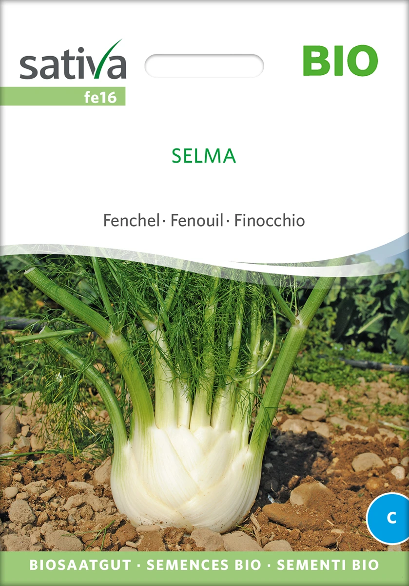 Knollenfenchel Selma | BIO Fenchelsamen Von Sativa Rheinau 4 Knollenfenchel Selma | BIO Fenchelsamen Von Sativa Rheinau – Bild 2