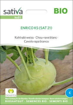 Kohlrabi Weiss Auslese Sehr Früh | BIO Kohlrabisamen Von Sativa Rheinau