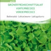 Buttersalat Frühschnittsalat Grüner | BIO Salatsamen Von Sativa Rheinau -Compo Verkäufe 534500 BIO Buttersalat Fruehschnittsalat Gruener ps12 sr 0