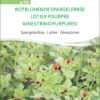 Spargelerbse Rotblühende Spargelerbse | BIO Erbsensamen Von Sativa Rheinau -Compo Verkäufe 534629 BIO Spargelerbse Rotbluehende Spargelerbse er70 sr 0