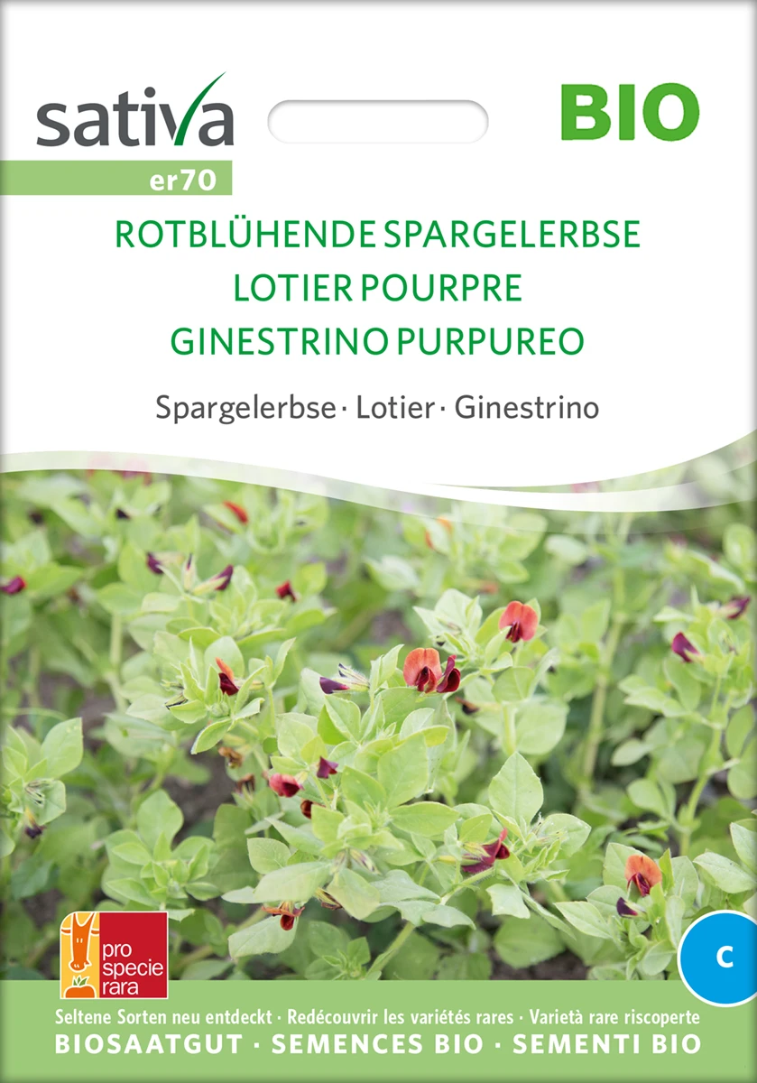 Spargelerbse Rotblühende Spargelerbse | BIO Erbsensamen Von Sativa Rheinau 3 Spargelerbse Rotblühende Spargelerbse | BIO Erbsensamen Von Sativa Rheinau