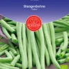 Stangenbohne Cobra | BIO Stangenbohnensamen Von De Bolster -Compo Verkäufe 534897 BIO Stangenbohne Cobra 11172 db 0