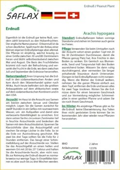 Erdnuß | Erdnusssamen Von Saflax