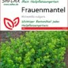 Frauenmantel | Heilpflanzensamen Von Saflax -Compo Verkäufe 535653 Frauenmantel 15205 sa 0