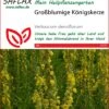 Großblumige Königskerze | Heilpflanzensamen Von Saflax -Compo Verkäufe 535671 Grossblumige Koenigskerze 15223 sa 0