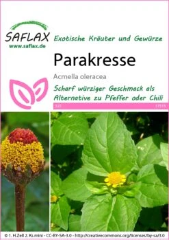 Parakresse | Kressesamen Von Saflax