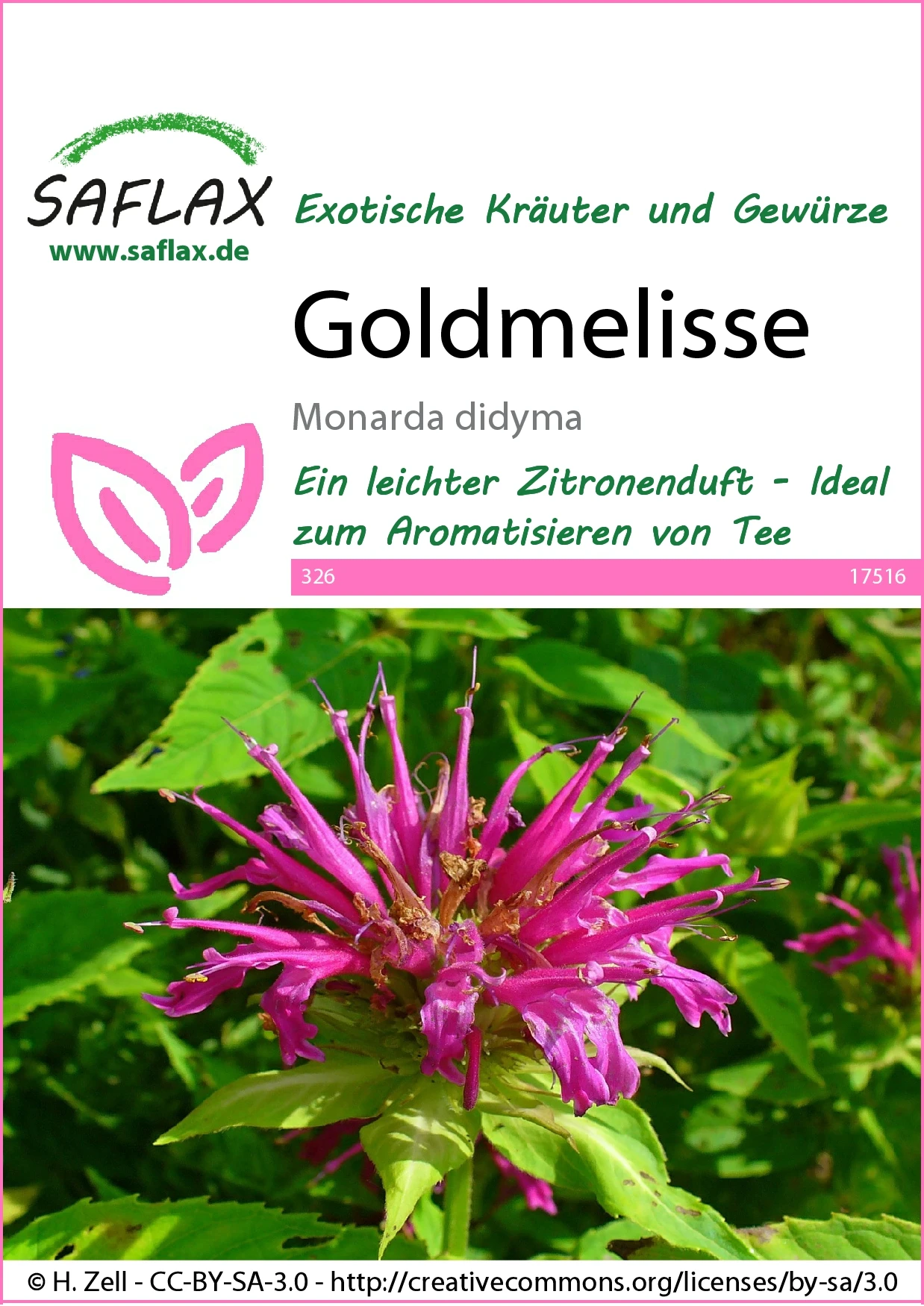 Goldmelisse | Melissensamen Von Saflax 3 Goldmelisse | Melissensamen Von Saflax