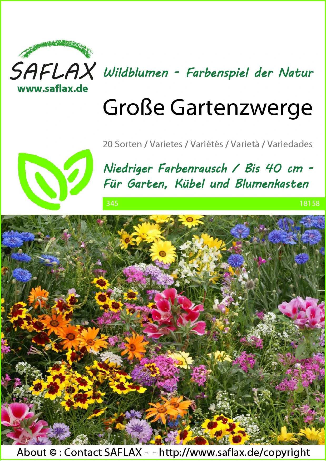 Blumenwiese Große Gartenzwerge | Wildblumenwiese Von Saflax 3 Blumenwiese Große Gartenzwerge | Wildblumenwiese Von Saflax