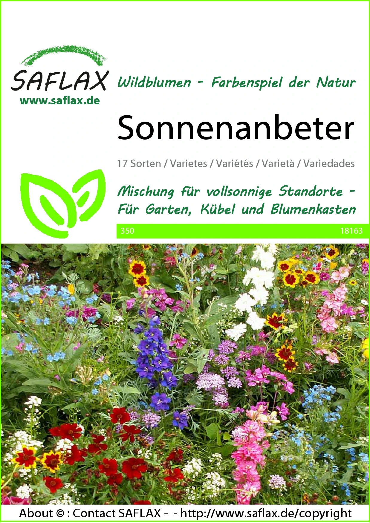 Blumenwiese Sonnenanbeter | Wildblumenwiese Von Saflax 4 Blumenwiese Sonnenanbeter | Wildblumenwiese Von Saflax – Bild 2