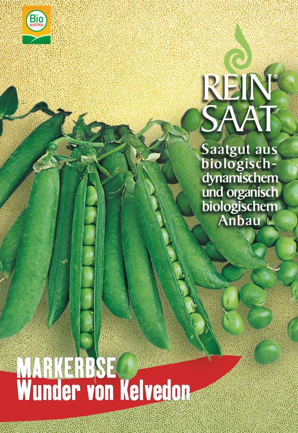 Markerbse Wunder V. Kelvedon | BIO Markerbsensamen Von Reinsaat 4 Markerbse Wunder V. Kelvedon | BIO Markerbsensamen Von Reinsaat – Bild 2