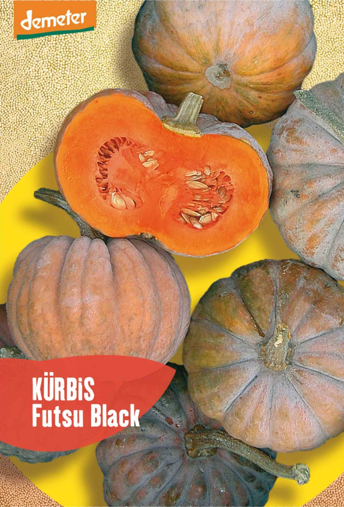 Kürbis Futsu Black | BIO Kürbissamen Von Reinsaat 3 Kürbis Futsu Black | BIO Kürbissamen Von Reinsaat