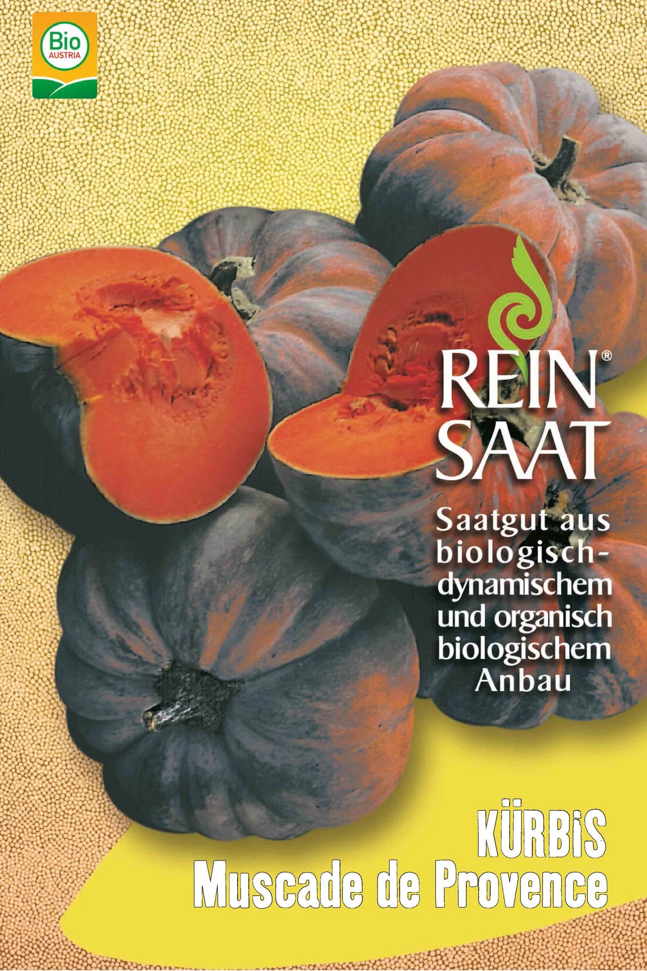 Kürbis Muscade De Provence | BIO Kürbissamen Von Reinsaat 3 Kürbis Muscade De Provence | BIO Kürbissamen Von Reinsaat