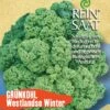 Grünkohl Westlandse Winter | BIO Grünkohlsamen Von Reinsaat -Compo Verkäufe 535765 BIO Gruenkohl Westlandse Winter Ko28 rs 0