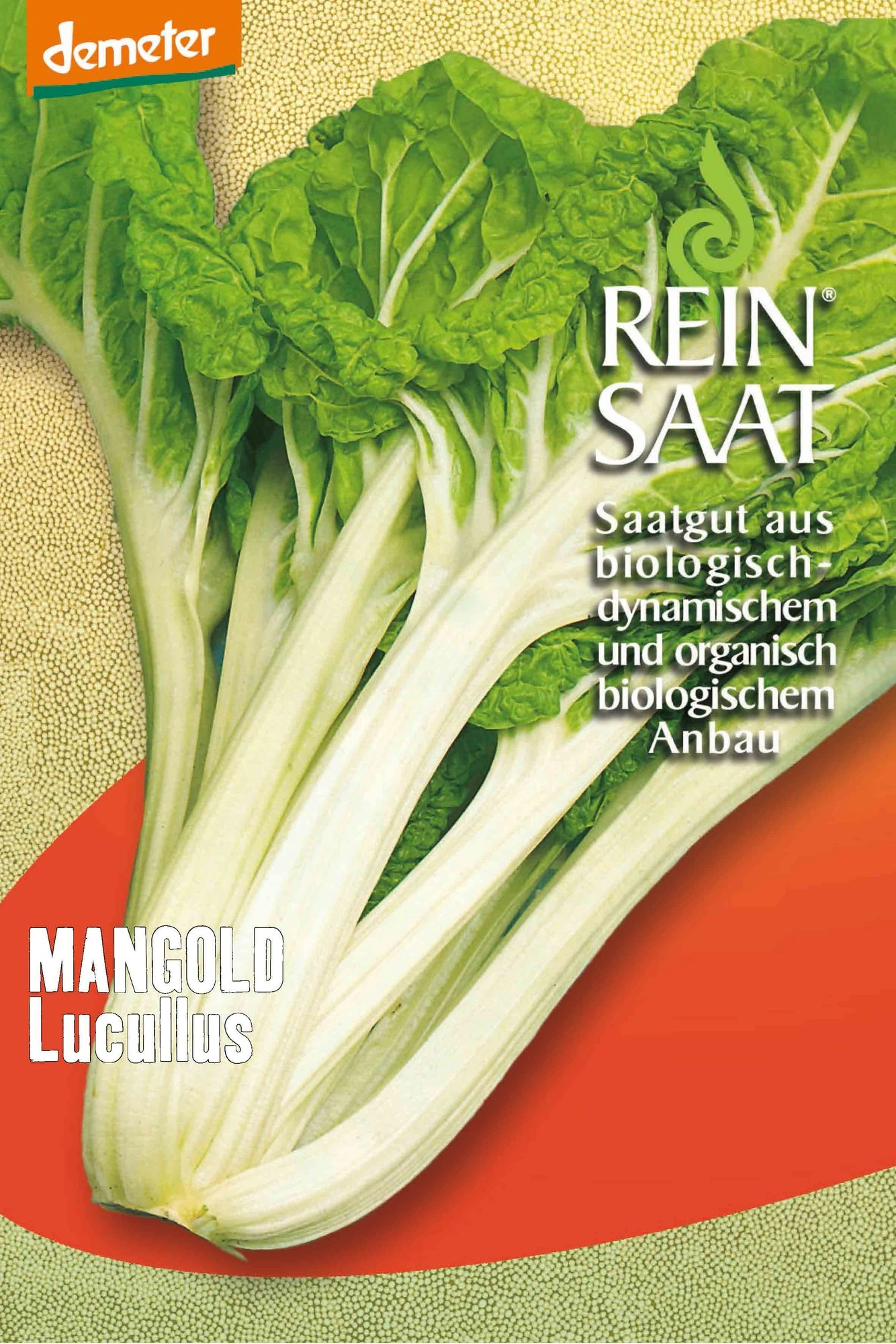 Mangold Lucullus | BIO Mangoldsamen Von Reinsaat 3 Mangold Lucullus | BIO Mangoldsamen Von Reinsaat
