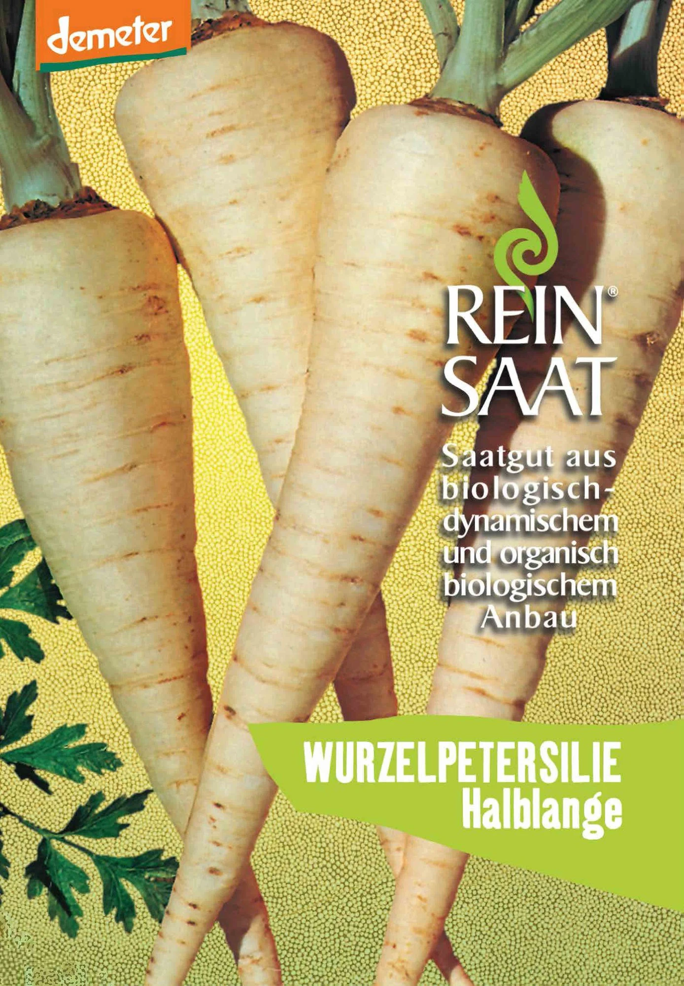 Petersilienwurzel Halblange | BIO Petersilienwurzelsamen Von Reinsaat 3 Petersilienwurzel Halblange | BIO Petersilienwurzelsamen Von Reinsaat