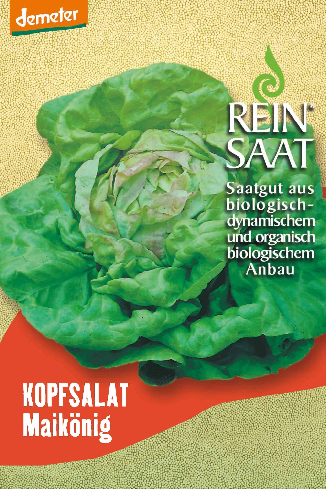 Kopfsalat Maikönig | BIO Kopfsalatsamen Von Reinsaat 3 Kopfsalat Maikönig | BIO Kopfsalatsamen Von Reinsaat
