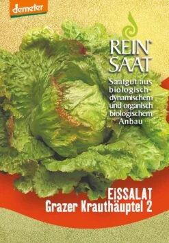 Eissalat Grazer Krauthäuptel 2 | BIO Eissalatsamen Von Reinsaat
