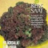 Pflücksalat Lollo Rossa | BIO Pflücksalatsamen Von Reinsaat 2 Pflücksalat Lollo Rossa | BIO Pflücksalatsamen Von Reinsaat -Compo Verkäufe 535832 BIO Pfluecksalat Lollo Rossa Sa31 rs 0