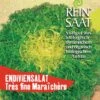 Endivie Tres Fine Maraichère | BIO Endiviensalatsamen Von Reinsaat -Compo Verkäufe 535837 BIO Endivie Tres Fine maraichere Sa118 rs 0