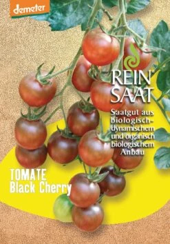 Cocktailtomate Black Cherry | BIO Kirschtomatensamen Von Reinsaat