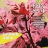Gartenmelde Rubinrot | BIO Spinatsamen Von Reinsaat -Compo Verkäufe 535906 BIO Gartenmelde Rubinrot CV13 rs 0