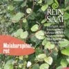 Malabarspinat | BIO Spinatsamen Von Reinsaat 2 Malabarspinat | BIO Spinatsamen Von Reinsaat -Compo Verkäufe 535907 BIO Malabarspinat CV16 rs 0
