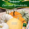 Essbare Zier- & Speisekürbis | Zierkürbissamen Von Quedlinburger 2 Essbare Zier- & Speisekürbis | Zierkürbissamen Von Quedlinburger -Compo Verkäufe 536818 Kuerbissamen Essbare Zier und Speisekuerbi