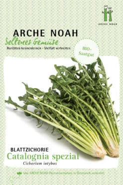 Blattzichorie Catalogna Spezial | BIO Blattzichoriesamen Von Arche Noah