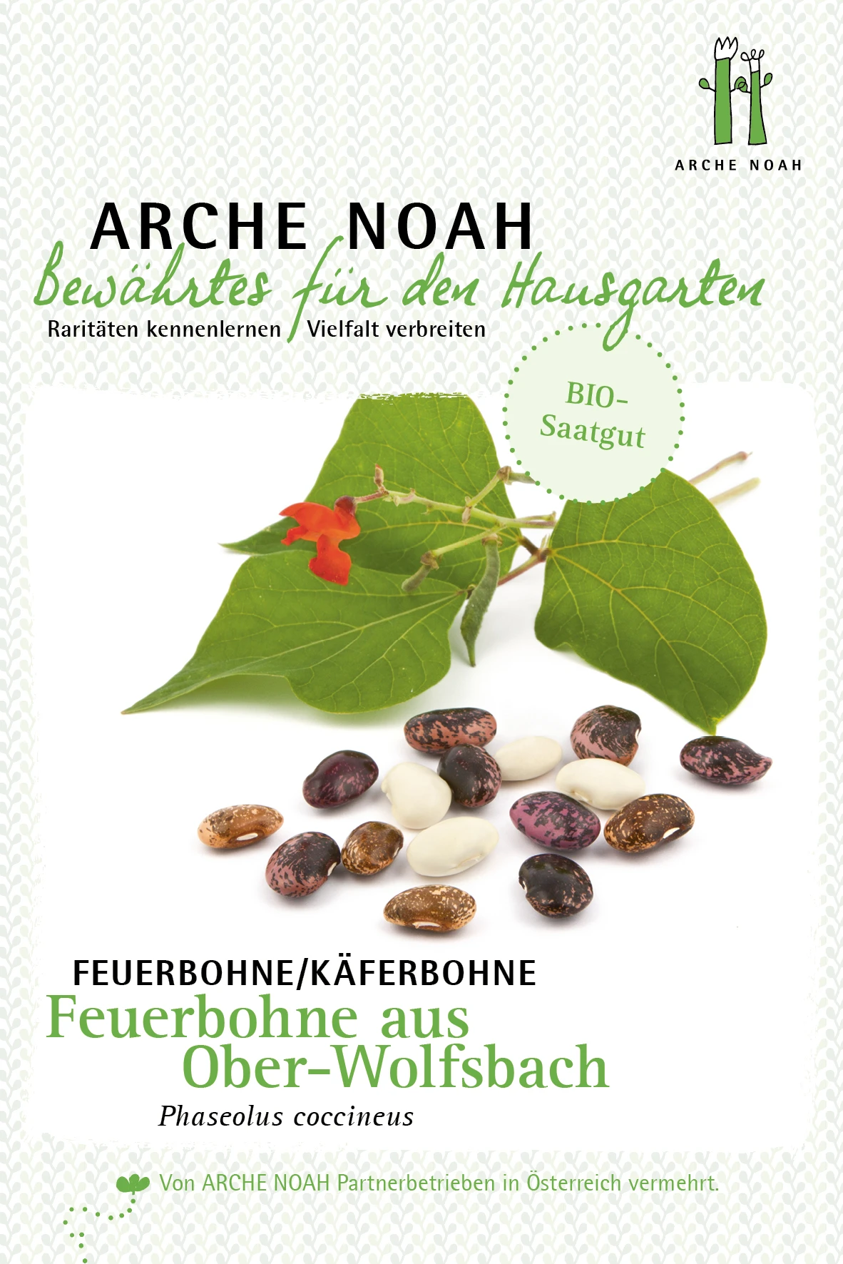 Feuerbohne Aus Ober-Wolfsbach | BIO Bohnensamen Von Arche Noah 3 Feuerbohne Aus Ober-Wolfsbach | BIO Bohnensamen Von Arche Noah