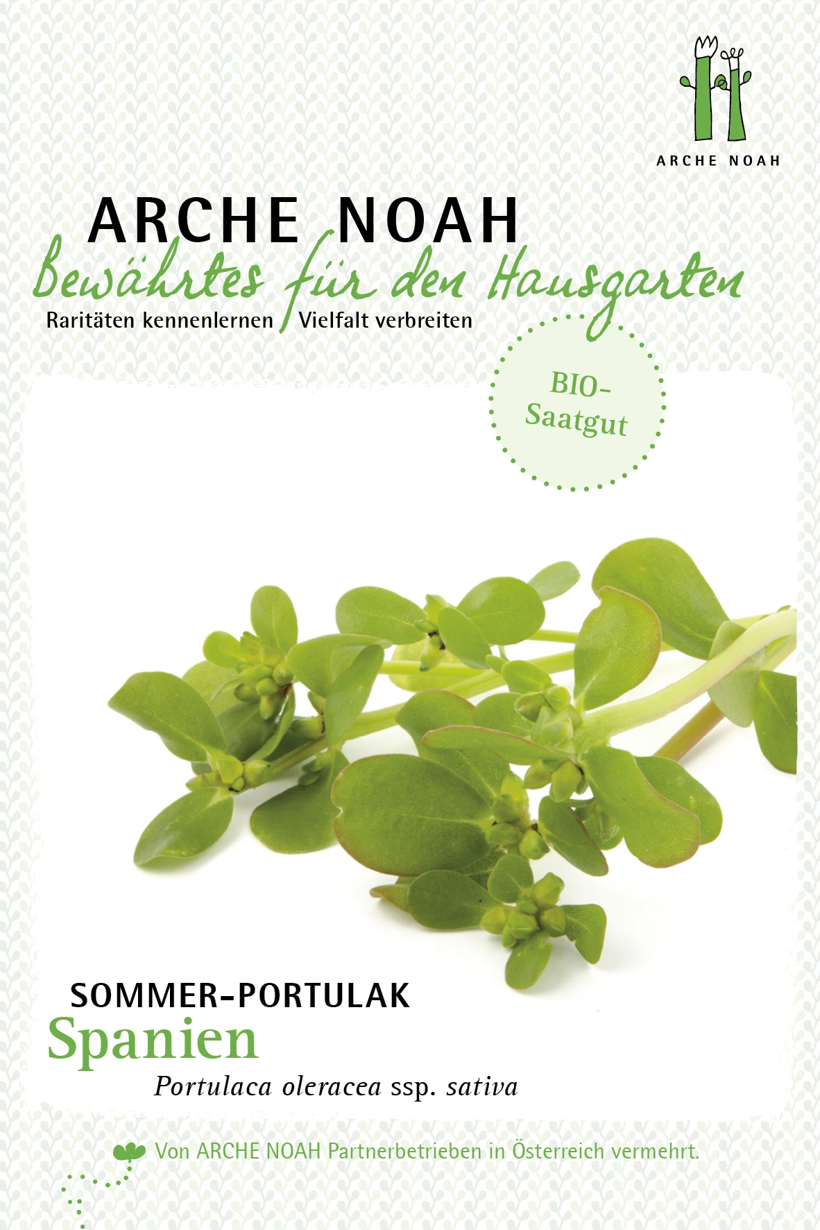Sommerportulak Spanien | BIO Portulaksamen Von Arche Noah 3 Sommerportulak Spanien | BIO Portulaksamen Von Arche Noah