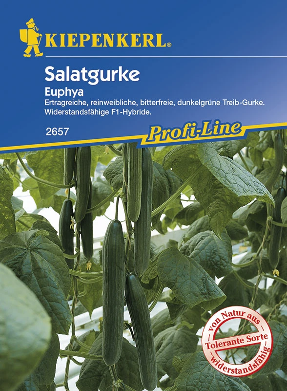 Salatgurke Euphya F1 | Salatgurkensamen Von Kiepenkerl 3 Salatgurke Euphya F1 | Salatgurkensamen Von Kiepenkerl