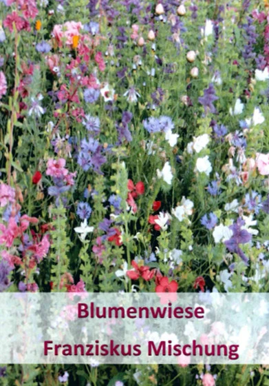 Franziskus Mischung (100 G) | Insektenwiese Von Küpper 3 Franziskus Mischung (100 G) | Insektenwiese Von Küpper
