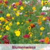 Meissner Blütenfeuerwerk (100 G) | Bienenwiese Von Küpper