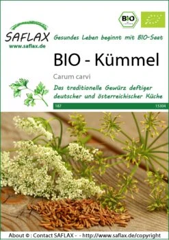 Kümmel | BIO Kümmelsamen Von Saflax
